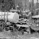 Wolf Creek Historical Imagery