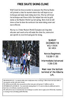 Free Skate Ski Clinic