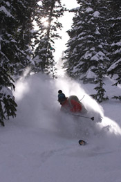 skiing through trees