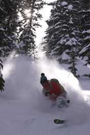 skiing through trees